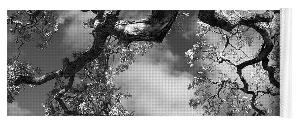 Oak Tree Yoga Mat featuring the photograph Cloudy Oak by Laurie Search