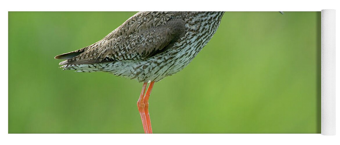 00286624 Yoga Mat featuring the photograph Common Redshank Calling by Do Van Dijck