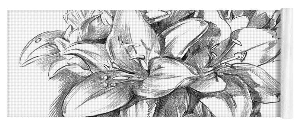 Lily Yoga Mat featuring the drawing Conte pencil sketch of Lilies by Alena Nikifarava