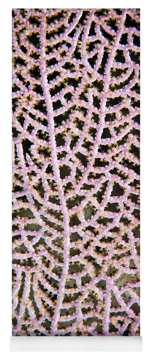 Coral Yoga Mat featuring the photograph Coral Pattern by Jean Noren
