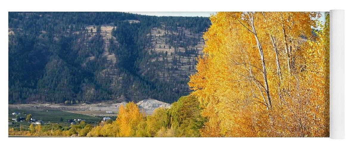 Autumn Yoga Mat featuring the photograph Country Color 6 by Will Borden