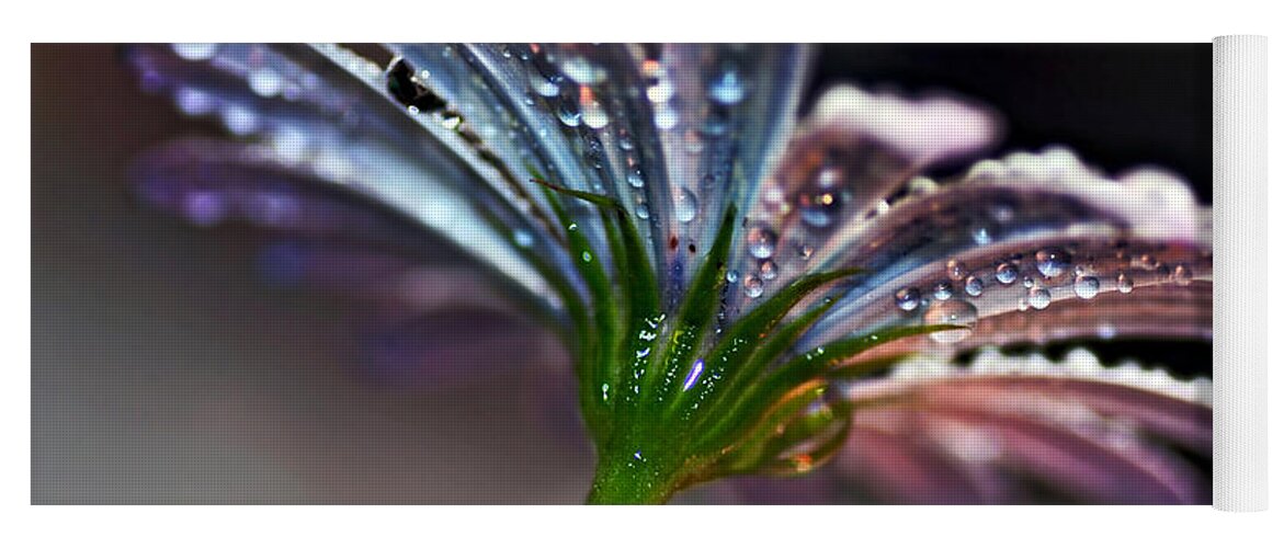 Photography Yoga Mat featuring the photograph Daisy Abstract with Droplets by Kaye Menner