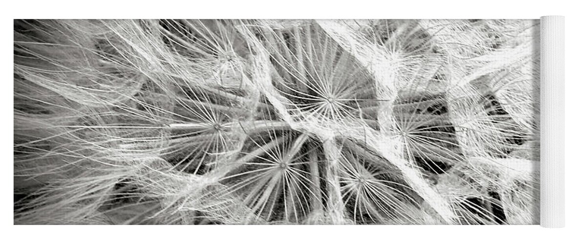 Flower Yoga Mat featuring the photograph Dandelion in Black and White by Endre Balogh