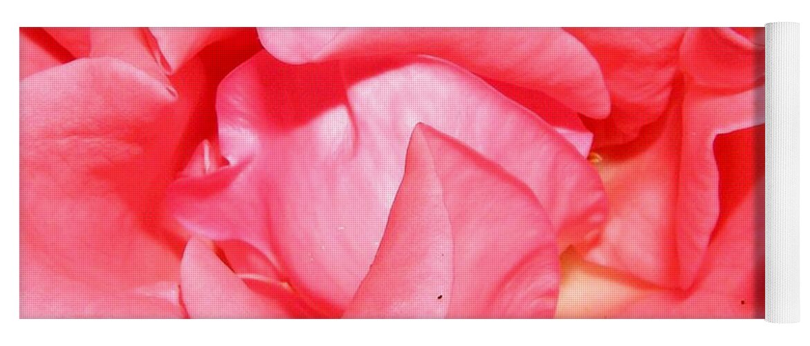 Pink Yoga Mat featuring the photograph Delicate Swirls Of Pin by Kim Galluzzo Wozniak