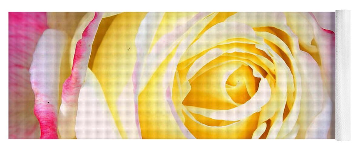 Rose Yoga Mat featuring the photograph Delight 4 by M Diane Bonaparte