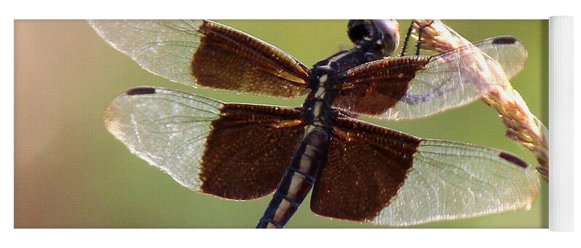 Dragonfly Yoga Mat featuring the photograph Dragonfly Closeup by Kathy White