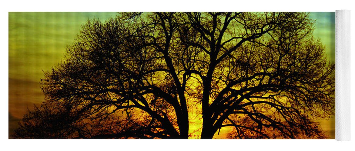 Tree Yoga Mat featuring the photograph Evening Palette by Benanne Stiens