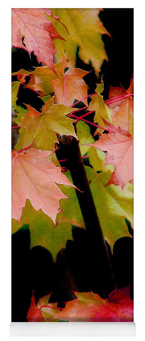 Leaf Yoga Mat featuring the photograph Fall Grandeur by Rory Siegel