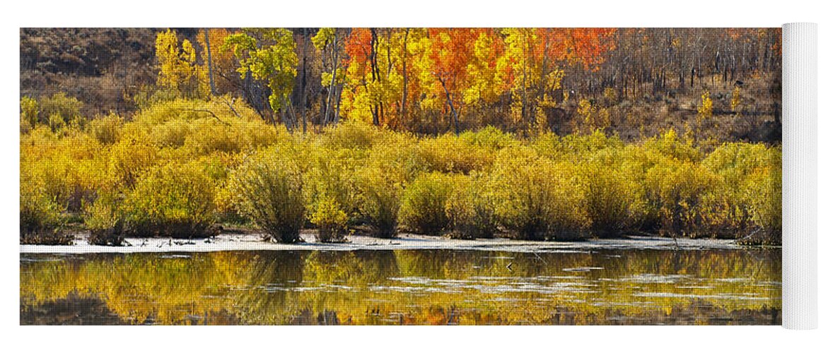 Water Yoga Mat featuring the photograph Fall On The Marsh by DeeLon Merritt