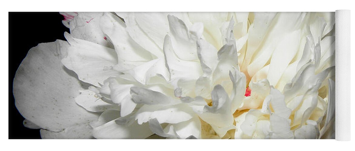 Peony Yoga Mat featuring the photograph Floating White Peony by Kim Galluzzo