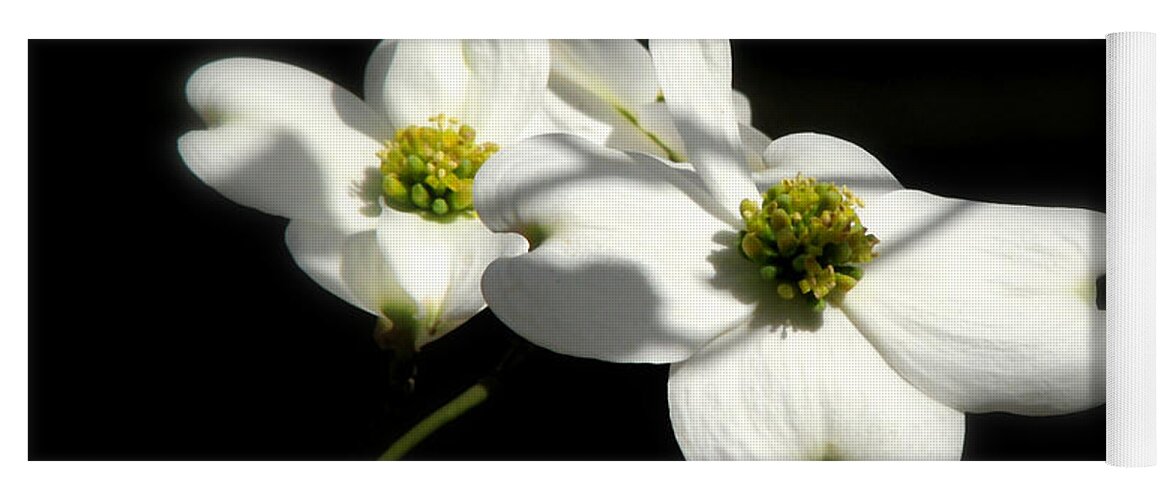 Nature Yoga Mat featuring the photograph Flowering Dogwood by Peggy Urban