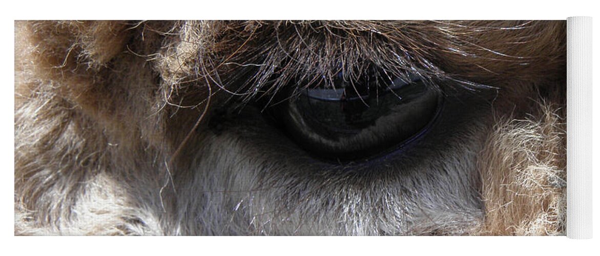 Alpaca Yoga Mat featuring the photograph Fluffy Eyes by Kim Galluzzo Wozniak