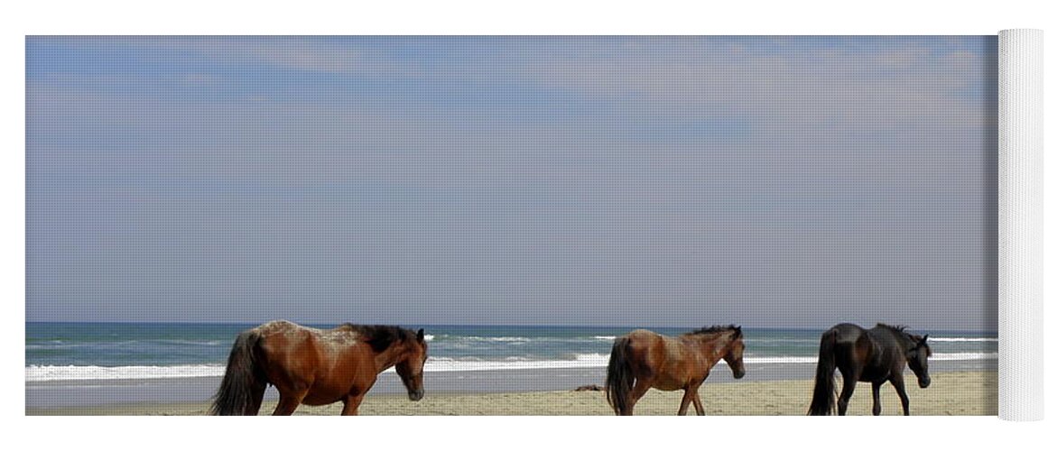Wild Spanish Mustangs Yoga Mat featuring the photograph Follow The Leader by Kim Galluzzo