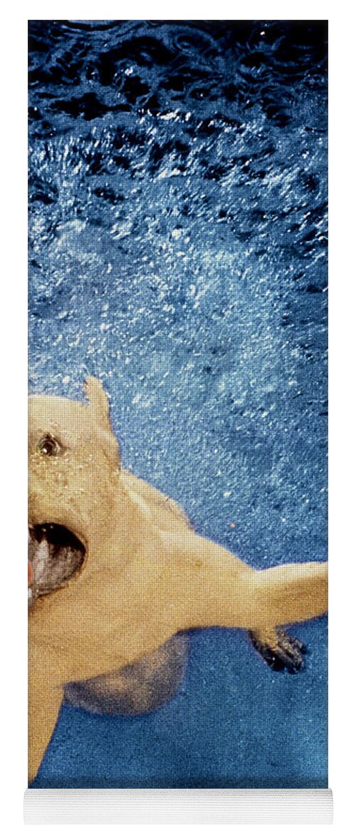 Dog Yoga Mat featuring the photograph Getting Closer by Jill Reger