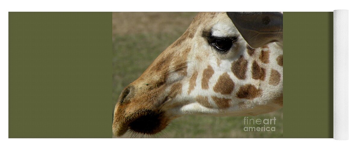 Giraffe Yoga Mat featuring the photograph Giraffe Facial Shot by Kim Galluzzo