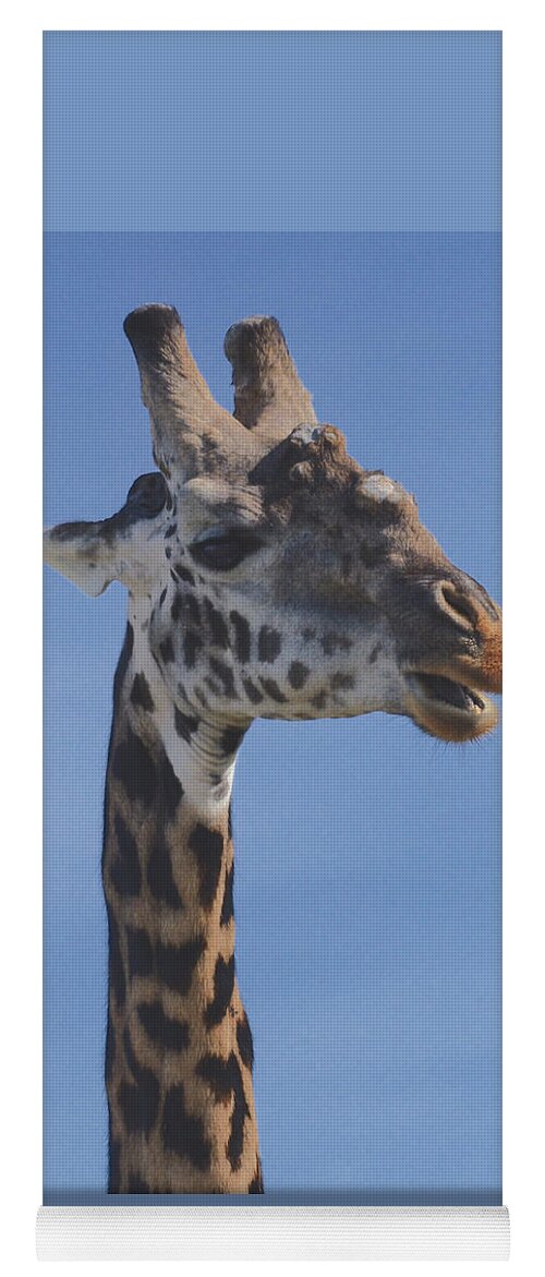 Unique Yoga Mat featuring the photograph Giraffe Headshot by Tom Wurl