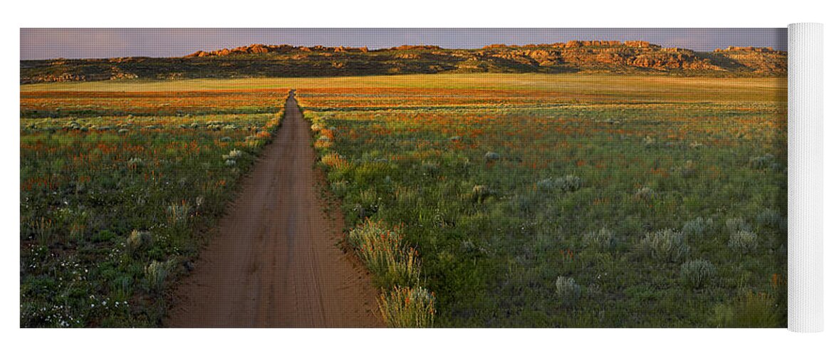 00175239 Yoga Mat featuring the photograph Globemallow Clusters And Dirt Road Salt by Tim Fitzharris