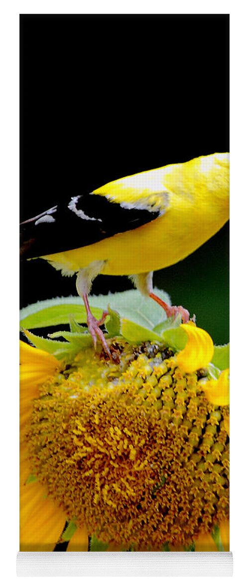  Yoga Mat featuring the photograph 'Goldfinch on Sunflower' by PJQandFriends Photography