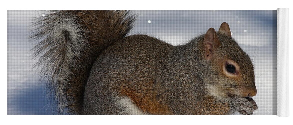 Gray Squirrel Yoga Mat featuring the photograph Gray Squirrel On Snow by Daniel Reed