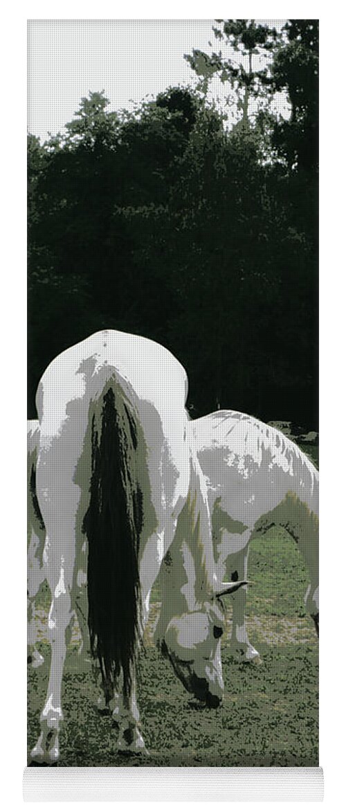 Horses Yoga Mat featuring the photograph Grazing Friendship by Kim Galluzzo