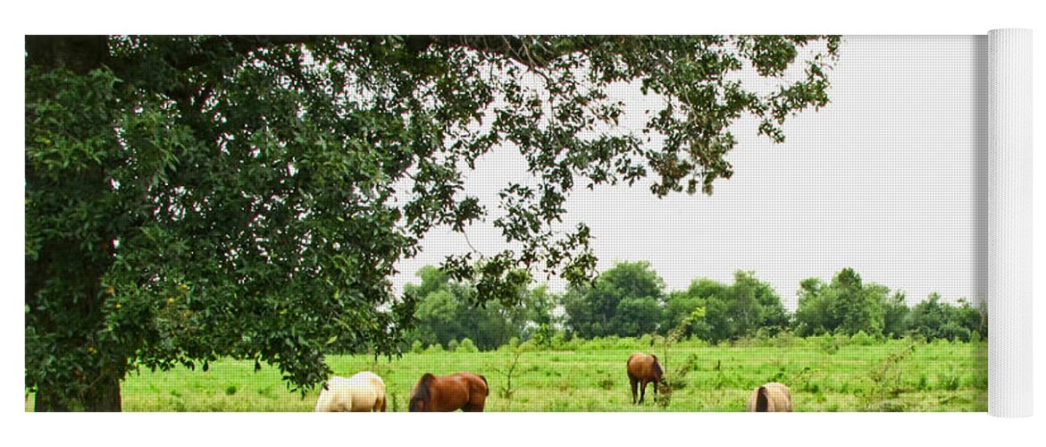  Yoga Mat featuring the photograph Grazing under the Oak by Debbie Portwood