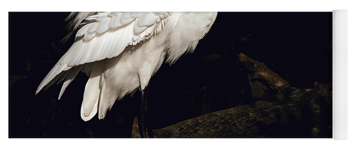 Great Egret Yoga Mat featuring the photograph Great Egret Ruffles His Feathers by Art Whitton