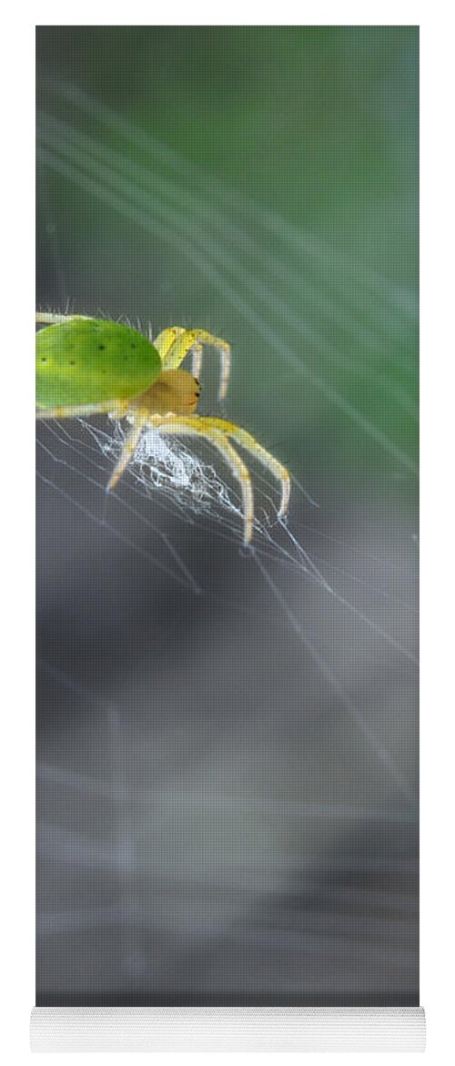 Yhun Suarez Yoga Mat featuring the photograph Green Spider 1.0 by Yhun Suarez