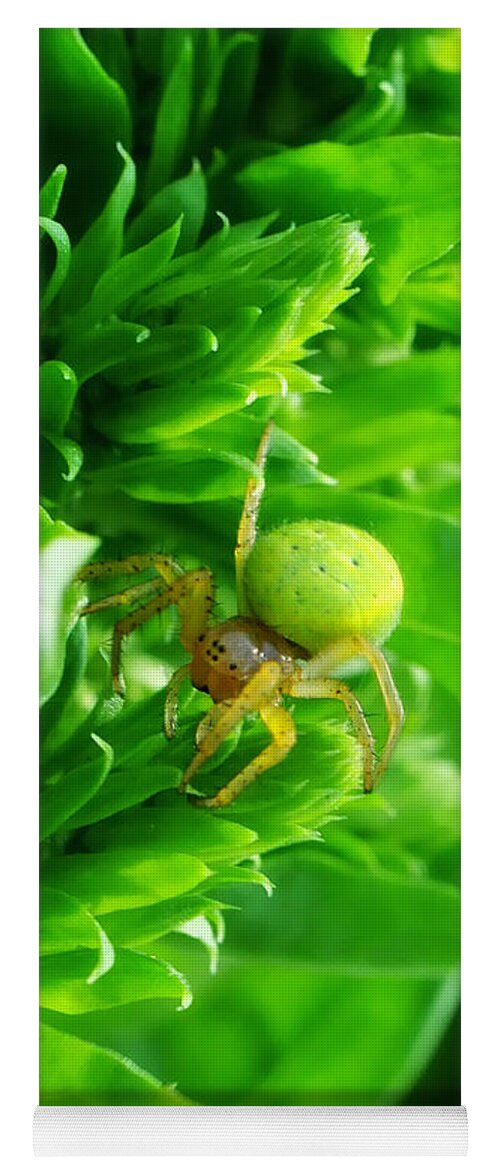 Yhun Suarez Yoga Mat featuring the photograph Green Spider 2.0 by Yhun Suarez