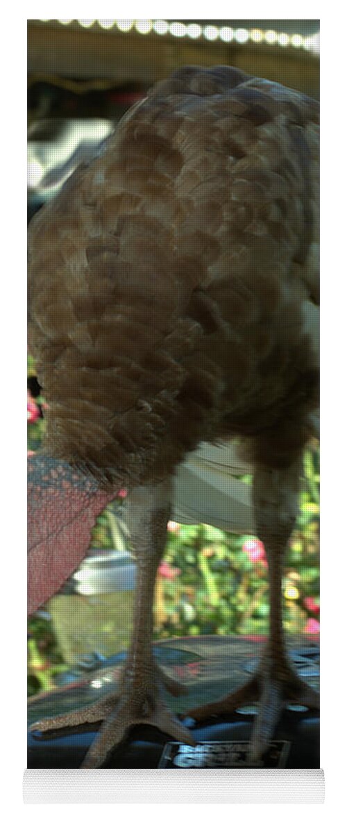 Bird Yoga Mat featuring the photograph Grill Turkey Anyone Redneck Style by Donna Brown