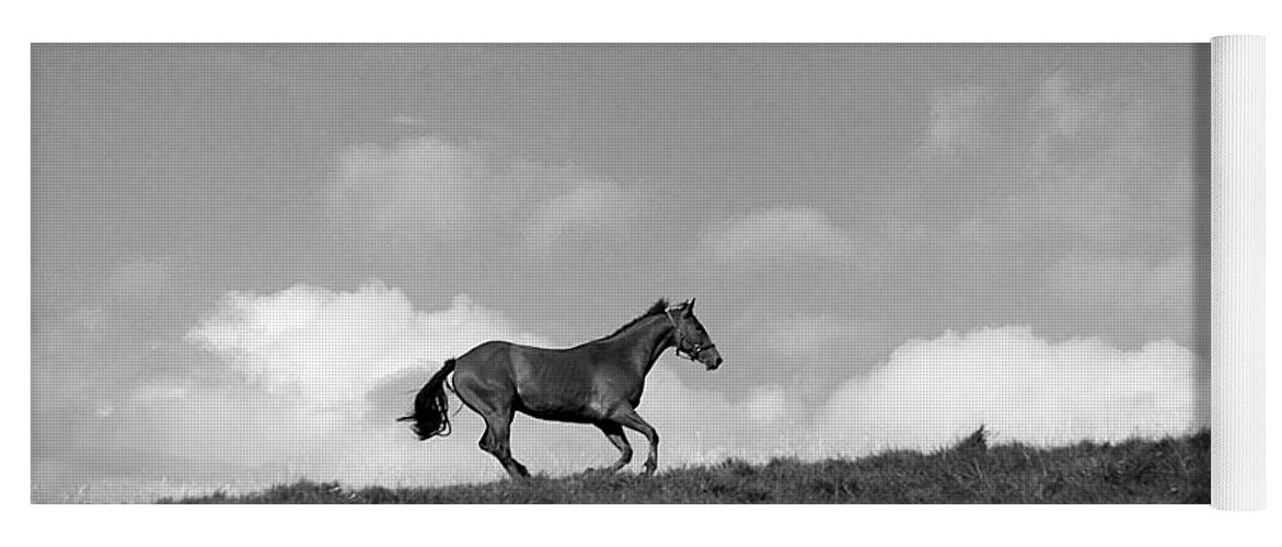 Landscape Yoga Mat featuring the photograph Hilltop Gallop by Jean Macaluso