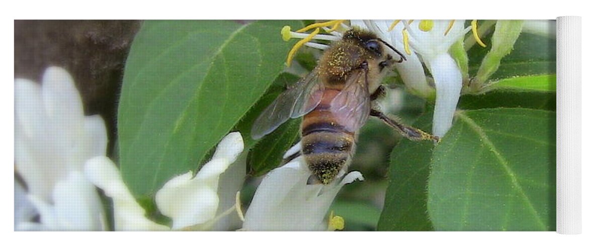 Honeybee Yoga Mat featuring the photograph Honeybee Collecting Pollen by Renee Trenholm