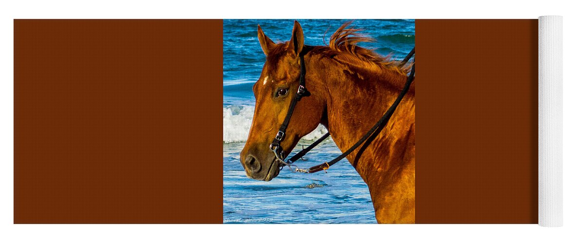 Horse Yoga Mat featuring the photograph Horse Portrait by Shannon Harrington