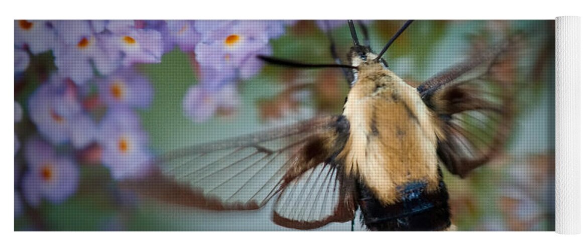 Clear Winged Yoga Mat featuring the photograph Hummingbird Moth by Craig Leaper