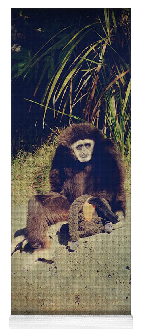 Primates Yoga Mat featuring the photograph I Need a Hug by Laurie Search