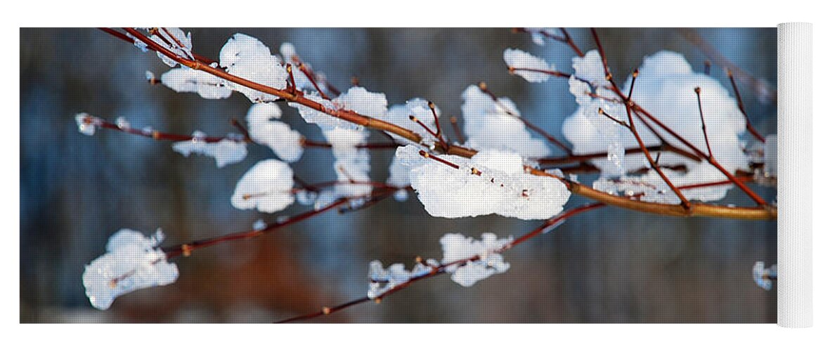 Winter Yoga Mat featuring the photograph Ice on a Branch by Mark Dodd