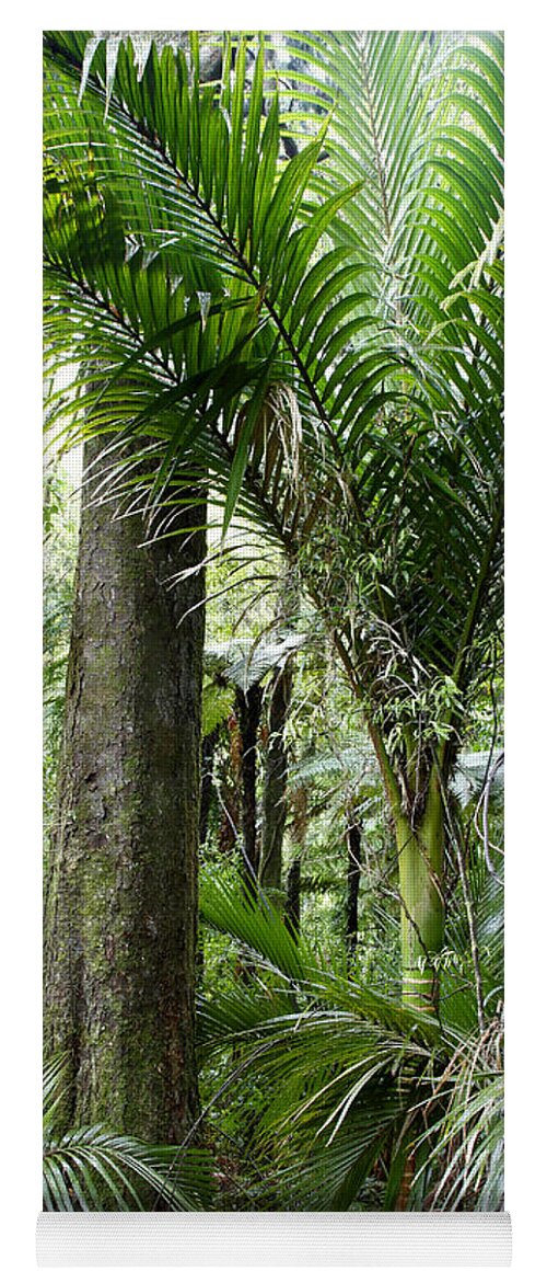 Trees Yoga Mat featuring the photograph Jungle by Les Cunliffe