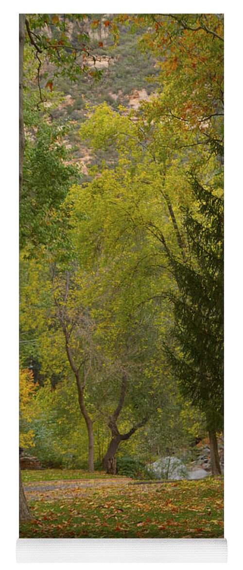 Oak Creek Canyon Yoga Mat featuring the photograph Junipine by Tom Kelly