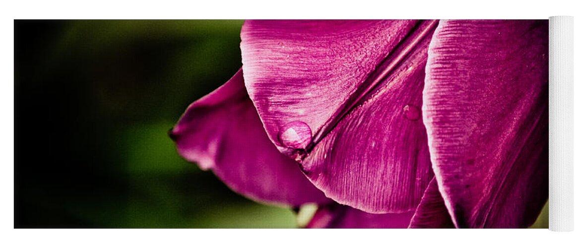 Flower Yoga Mat featuring the photograph Just A Drop by Trish Tritz