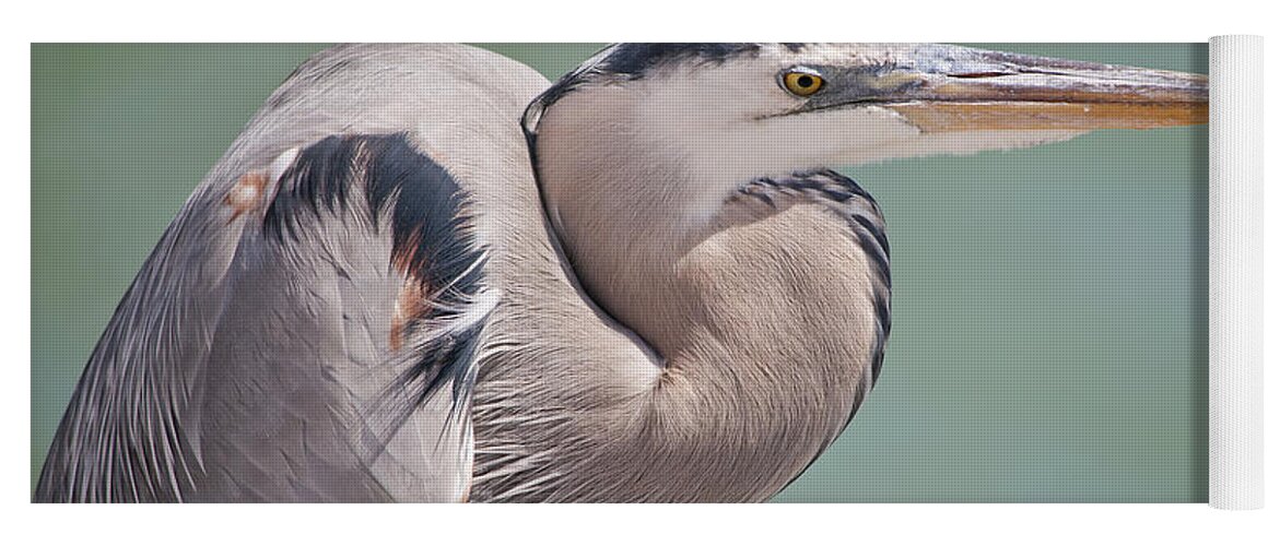 Great Blue Heron Yoga Mat featuring the photograph La Garza by Steven Sparks