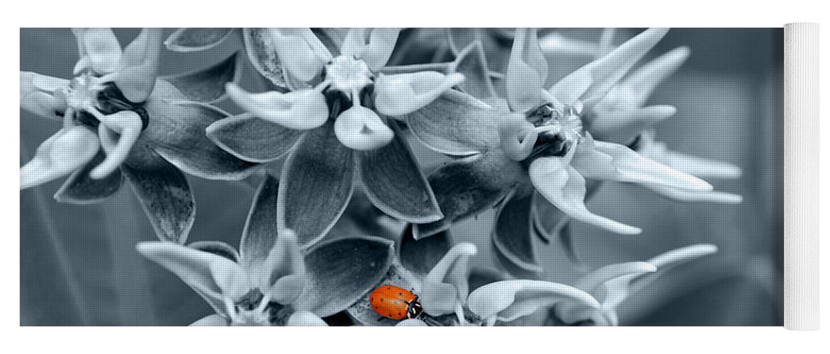 Flowers Yoga Mat featuring the photograph Ladybug flower by Rebecca Margraf