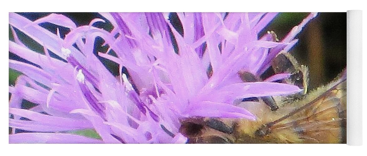 Buzz Buzz Bee Yoga Mat featuring the photograph Lavendar affection by Sonali Gangane