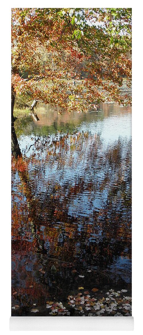 Leaves Yoga Mat featuring the photograph Leaves Of Reflections by Kim Galluzzo