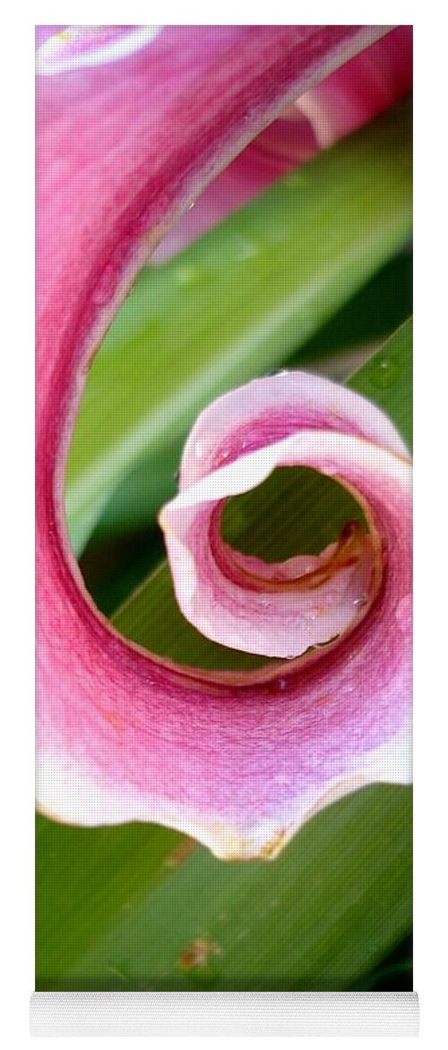 Lily Yoga Mat featuring the photograph Lily Spiral by Kerri Mortenson