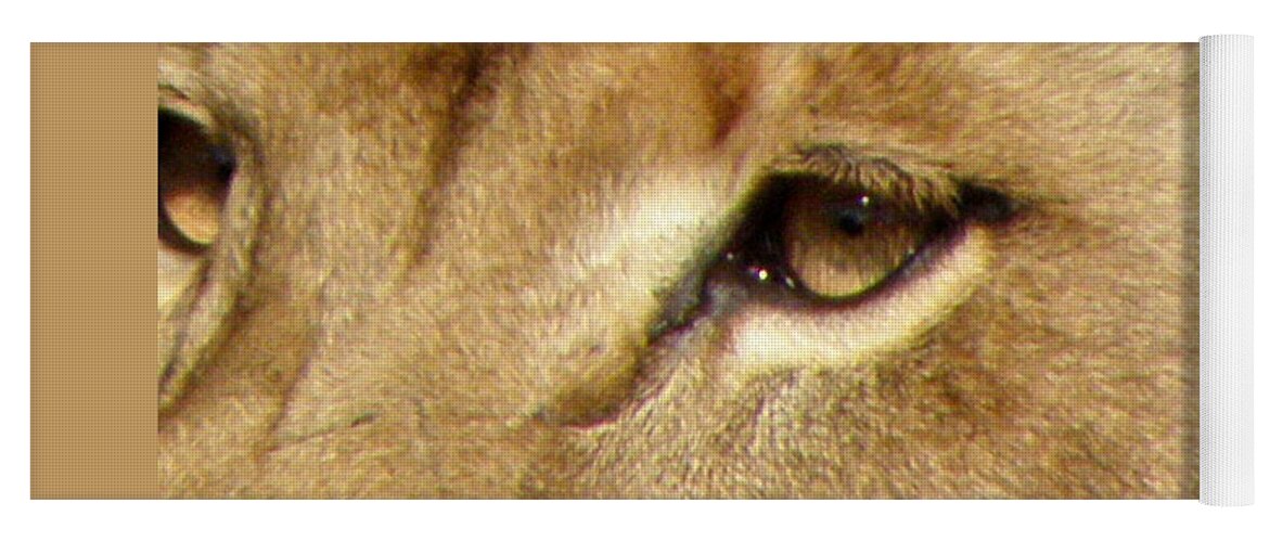 Lion Yoga Mat featuring the photograph Lioness Eyes by Kim Galluzzo