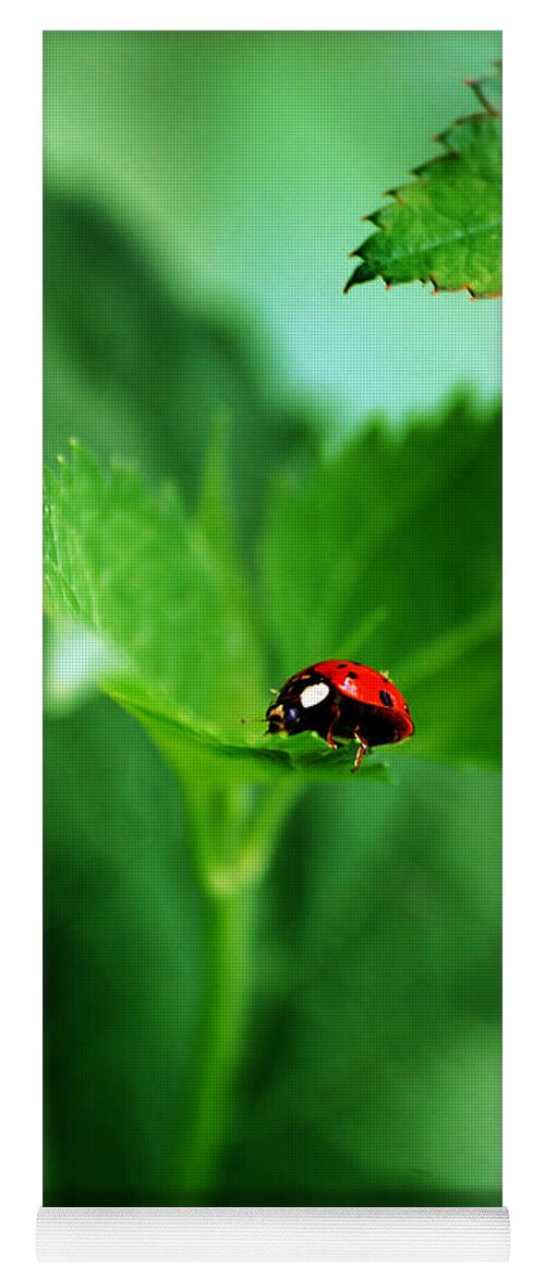 Ladybug Yoga Mat featuring the photograph Little Red Lady by Lori Tambakis