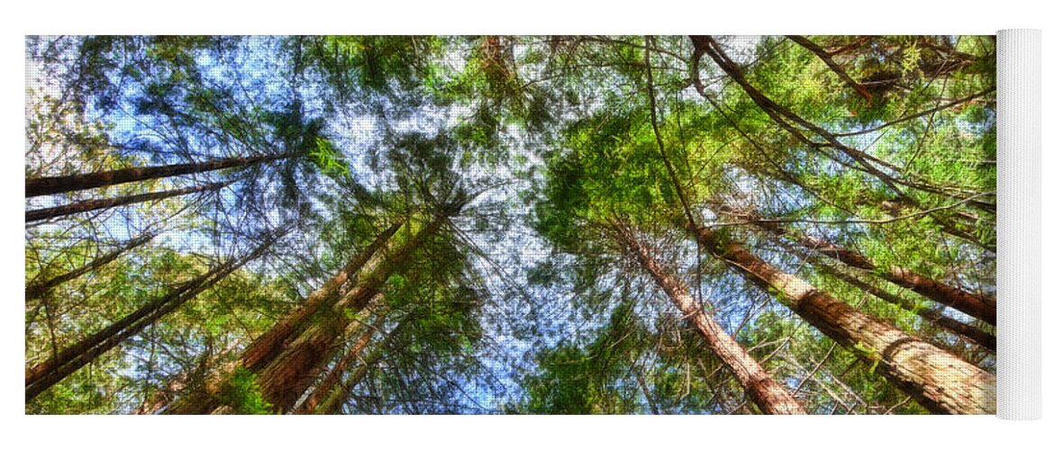 Redwoods Yoga Mat featuring the photograph Look to the Sky by Beth Sargent