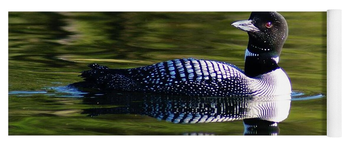 Loon Yoga Mat featuring the photograph Loon 4 by Steven Clipperton