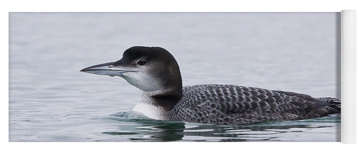 Loon Yoga Mat featuring the photograph Loon by Bob Decker