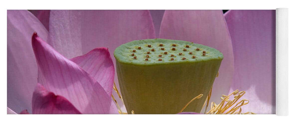 Nature Yoga Mat featuring the photograph Lotus--Center of Being iv DL071 by Gerry Gantt