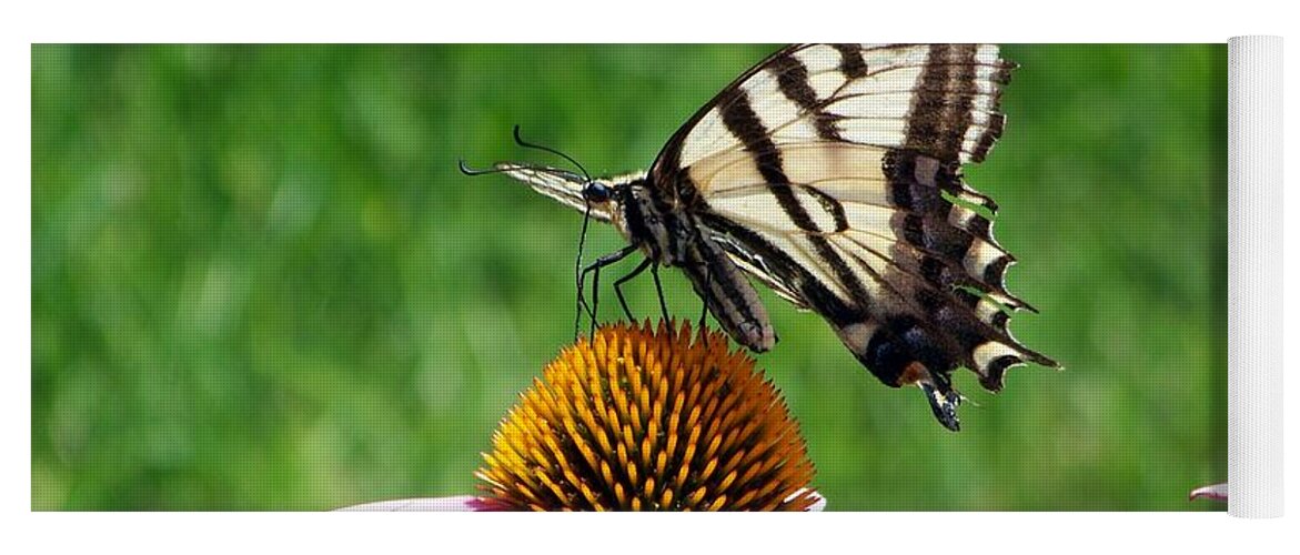 Butterflies Yoga Mat featuring the photograph Lunch Time by Dorrene BrownButterfield